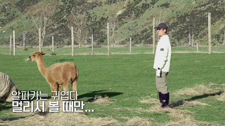 Bros on Foot: Episode 5